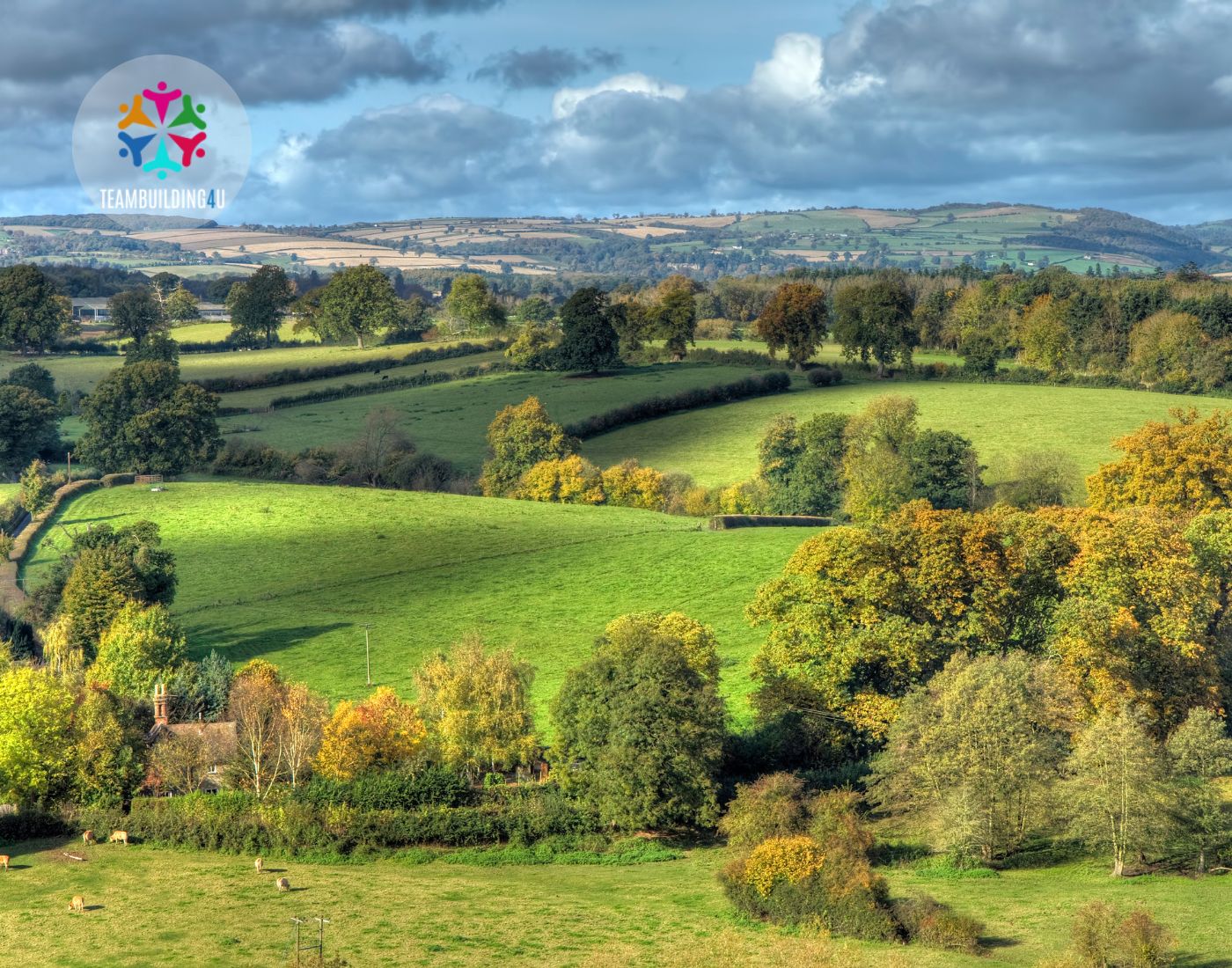Explore Team Building events in Shropshire with TeamBuilding4U. Enjoy unique indoor and outdoor activities tailored to enhance teamwork and leadership skills.